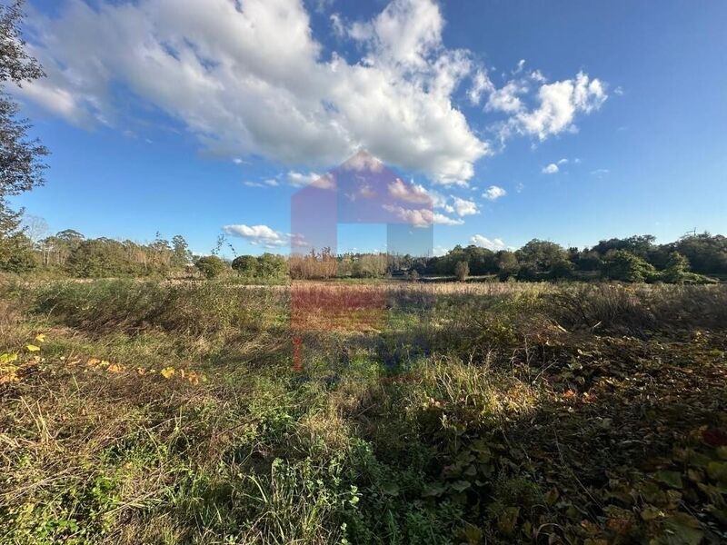 Terreno Agrícola com 22408m2 Loureira Vila Verde - bons acessos