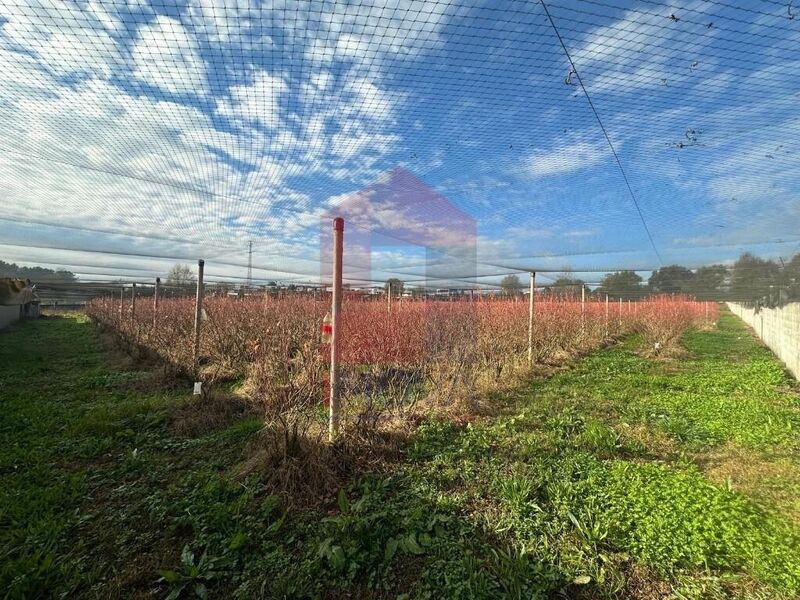 Terreno com 14409m2 Turiz Vila Verde - poço, água