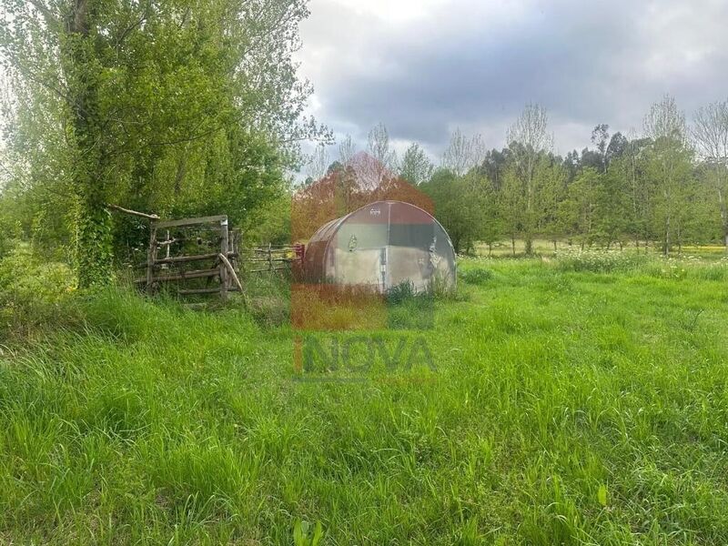 Land Agricultural flat Carreiras São Miguel Vila Verde