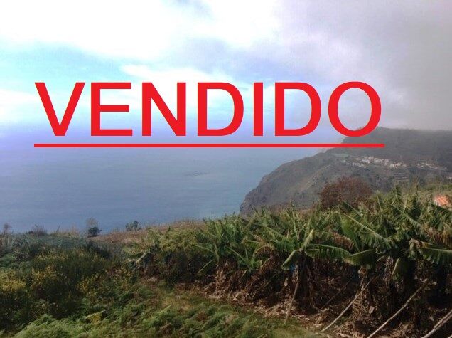 Terreno com 2740m2 para venda Canhas Ponta do Sol