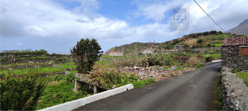 Moradia em ruínas V3 Fajãzinha Lajes das Flores - quintal