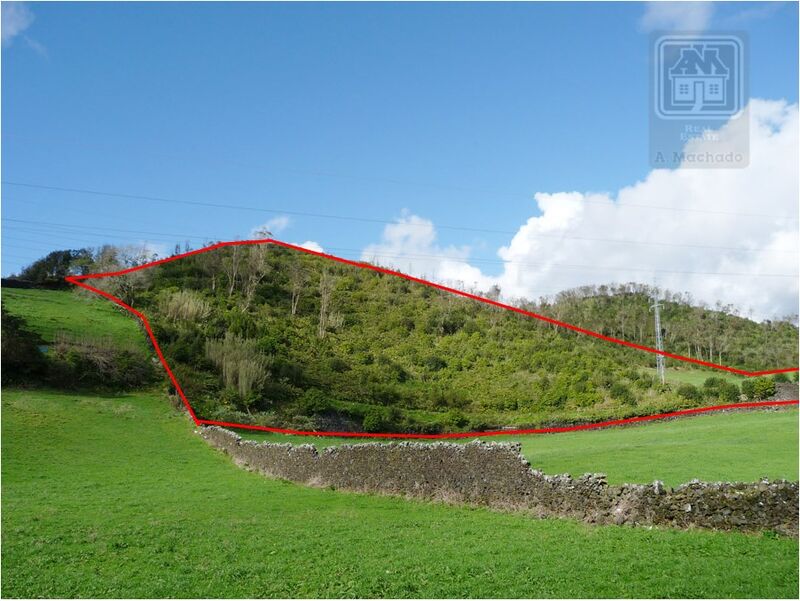 Terreno Rústico com 29960m2 Rosto de Cão (São Roque) Ponta Delgada
