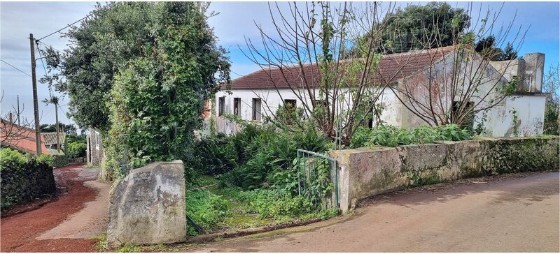 House 3 bedrooms Isolated São Bartolomeu de Regatos Angra do Heroísmo - backyard