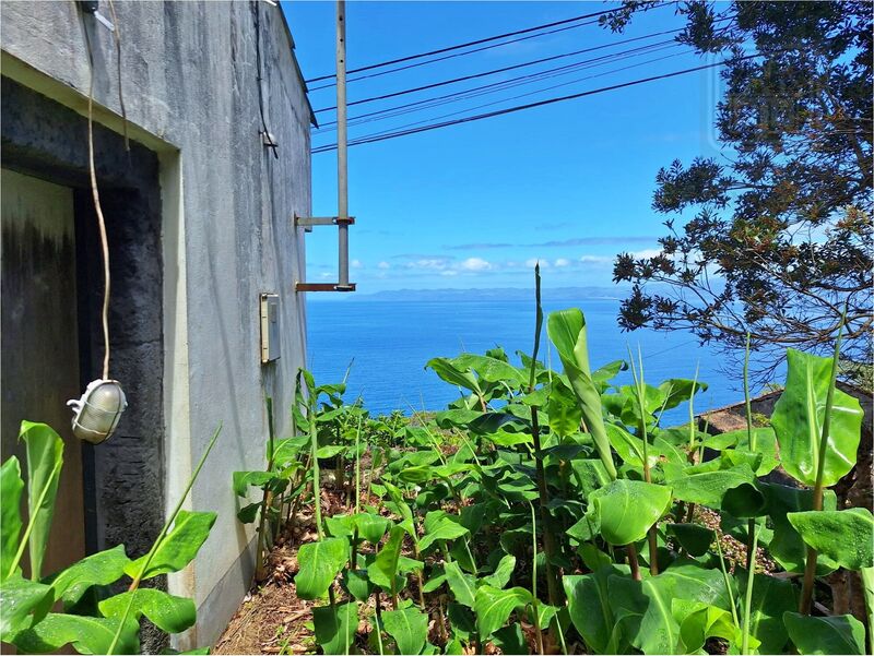 Moradia V2 São Roque do Pico - arrecadação, quintal
