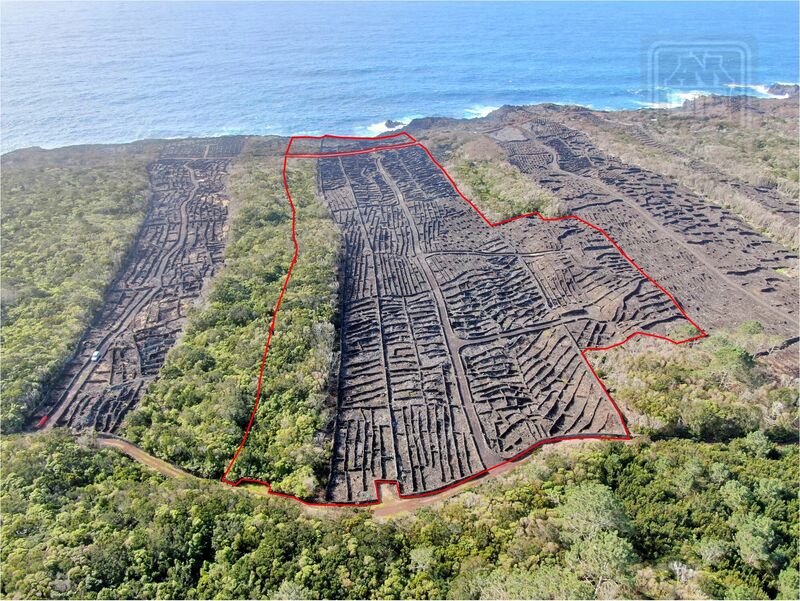 Terreno Agrícola com 62318m2 Monte Candelária Madalena - electricidade, água, excelente vista