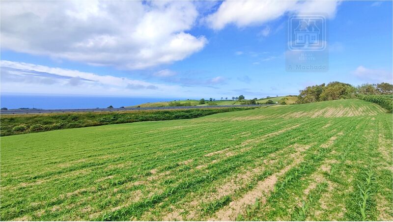 Land Rustic flat Fenais da Ajuda Ribeira Grande