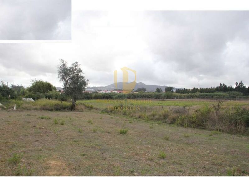 Land with 18000sqm Ral Terrugem Sintra