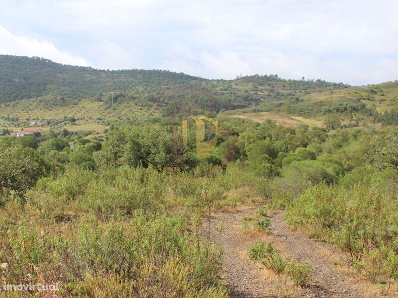 Chácara/Sítio/Fazenda com moradia São Bartolomeu de Messines Silves