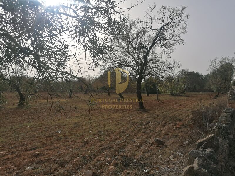 Land with 8250sqm Faro - , ,