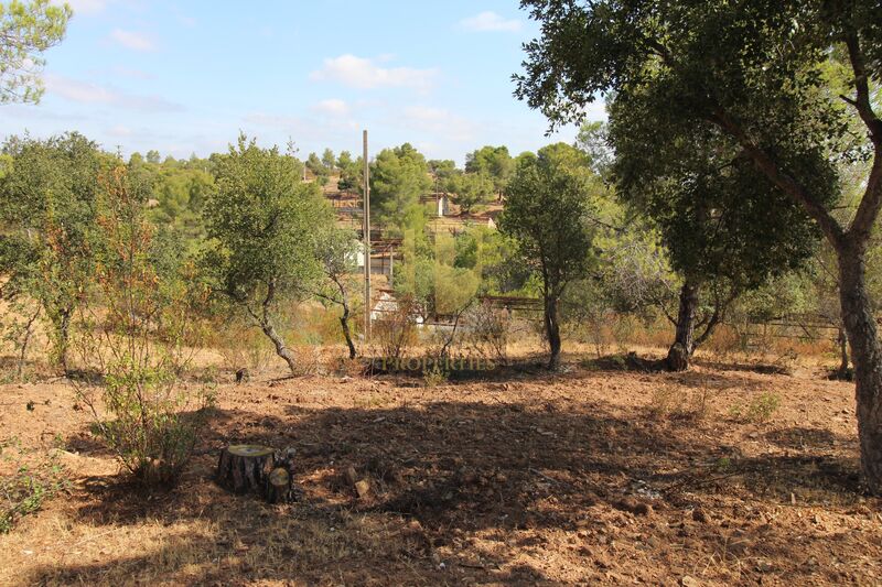 Terreno Rural para turismo rural Azinhal Castro Marim - bons acessos