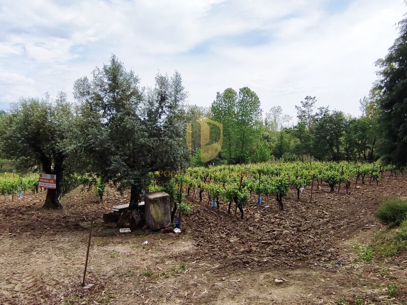 Terreno Agrícola com 11343m2 Casal Comba Mealhada - água