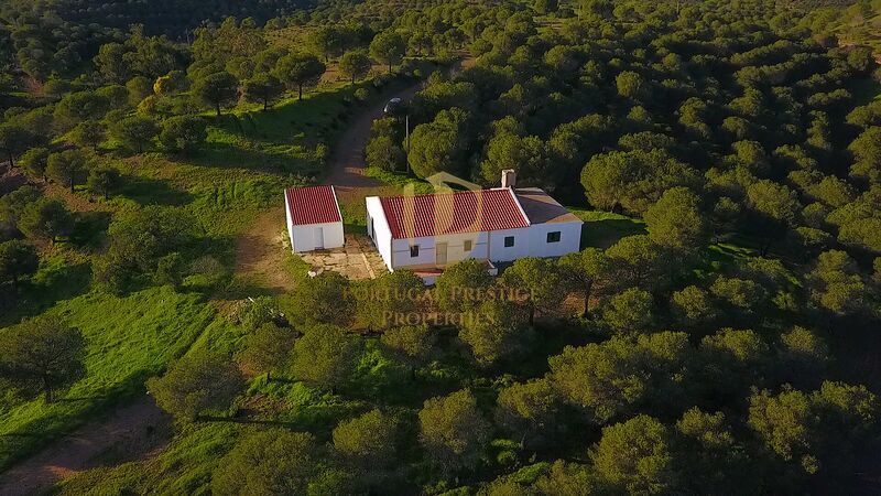 Terreno Agrícola com 377080m2 Fonte Judeu Morto Castro Marim - água, vista magnífica, electricidade, vista mar