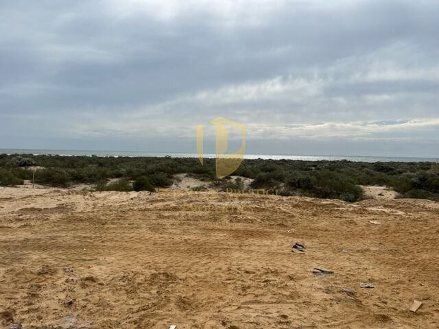 -822991585_IDf6129b01-0000-0500-0000-0000158d93b8.jpg