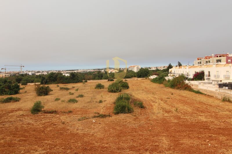 -823719537_IDf0e37f01-0000-0500-0000-000016924286.jpg