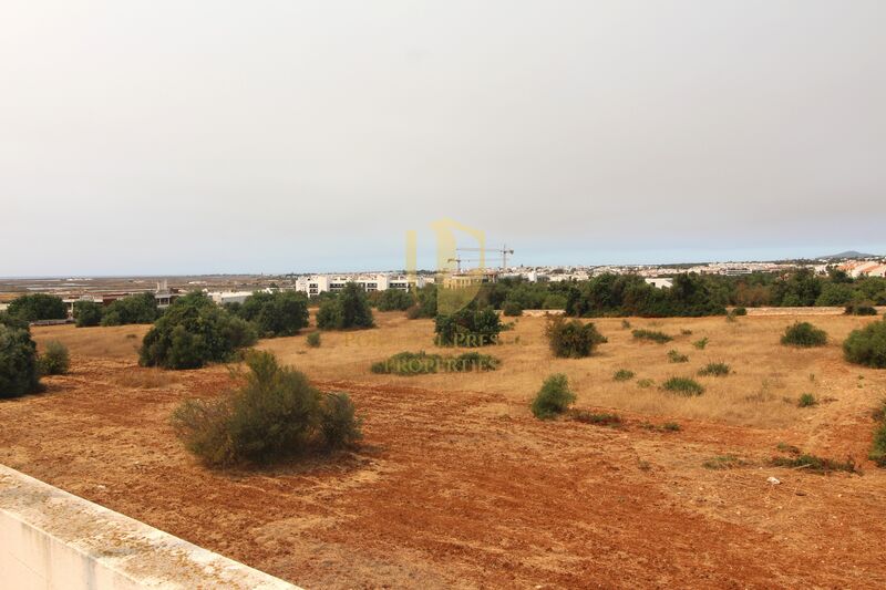 -823719537_IDf0e37f01-0000-0500-0000-000016924289.jpg
