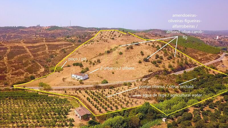 Land Agricultural with 87640sqm Castro Marim - olive trees, well, water, electricity, great location