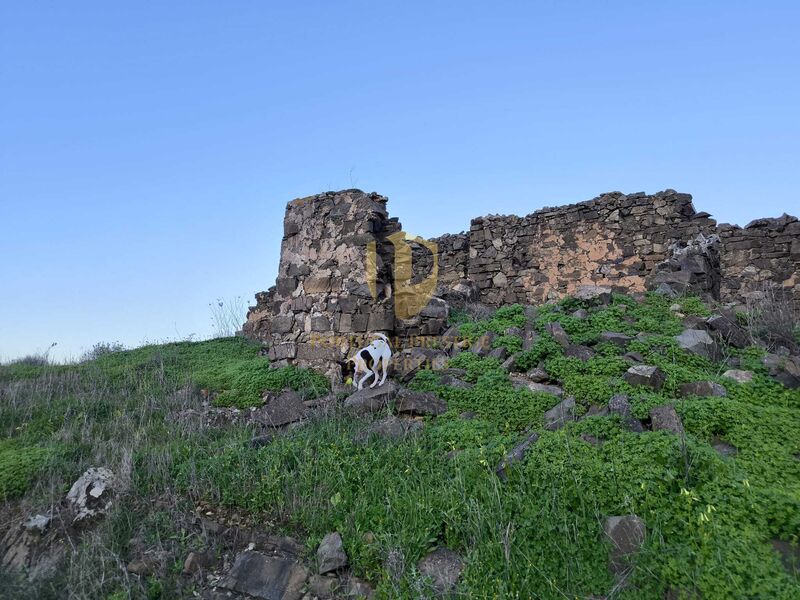 Land Urban/agricultural with 99760sqm Vale Andeu Castro Marim - electricity, easy access, water, well, great location