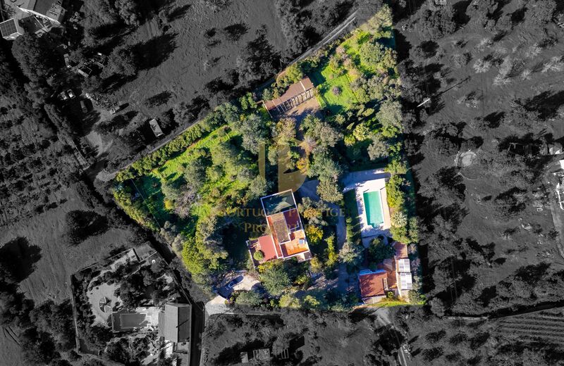 House 8 bedrooms Single storey Olhão - sauna, terraces, solar panels, garage, turkish bath, swimming pool, terrace