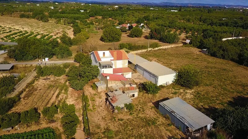 Farm 3 bedrooms Tavira - water hole, water, attic, terrace