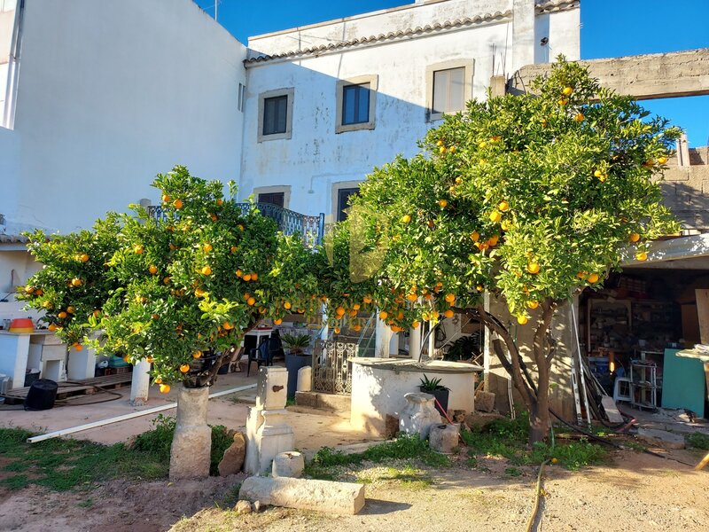 Maison V4 Ancienne au centre Moncarapacho Olhão - piscine, jardin arrière, jardin