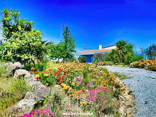 Small farm 3 bedrooms Idanha-a-Nova - air conditioning, water, electricity, equipped, tank, marquee, electricity, barbecue, tiled stove, mains water, store room, garage, water hole, terrace, garden, double glazing, green areas