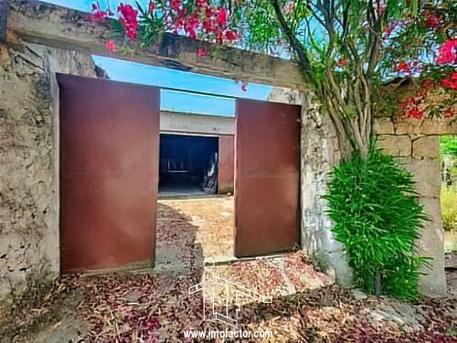 Farm Idanha-a-Nova - , , , ,