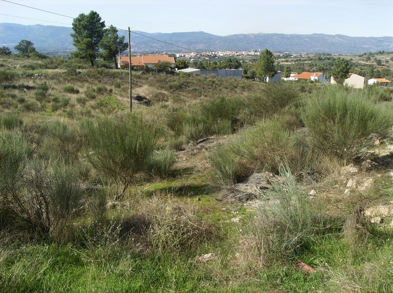Land with 5000sqm Caria Belmonte - water, electricity, construction viability