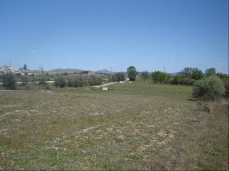Land with 23420sqm Caria Belmonte - construction viability, great location, arable crop, easy access, irrigated land