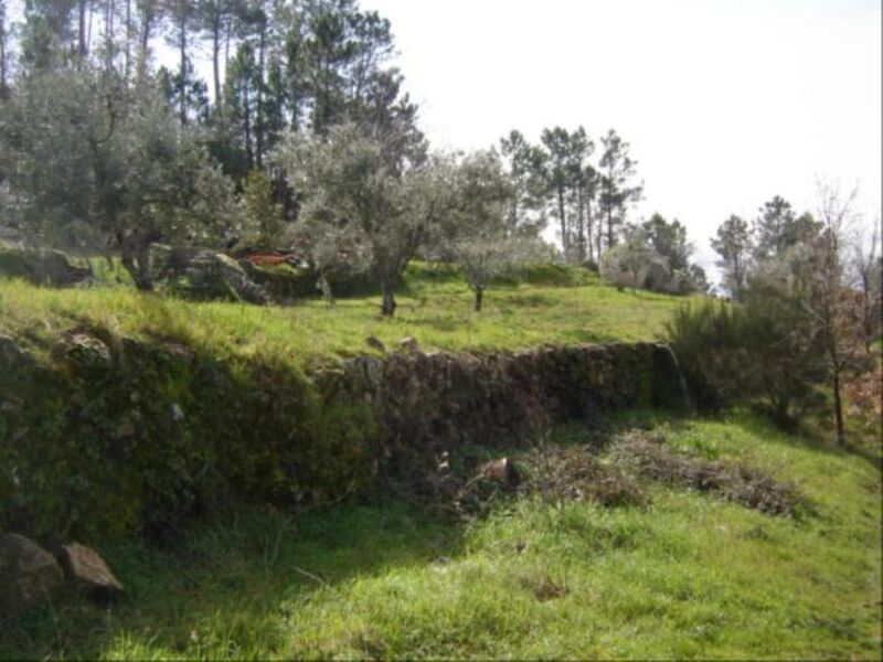 Quintinha V1 bem localizada Teixoso Covilhã - poço, furo, árvores de fruto, água