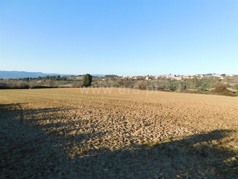 Terreno com 28595m2 Monte do Bispo Caria Belmonte - água, regadio, electricidade