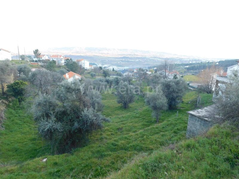 Land with 4400sqm Vila do Carvalho Covilhã