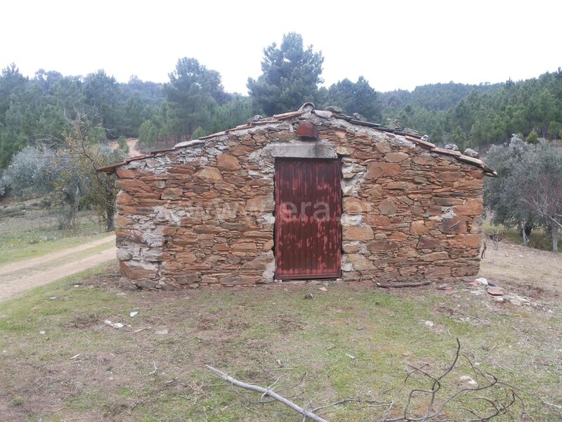 Quinta V0 à venda Barco Covilhã - oliveiras, poço, tanque