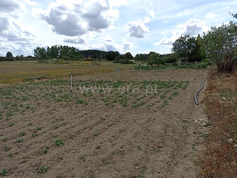 Terreno com 25639m2 Caria Belmonte - poço, bons acessos, água, electricidade, regadio