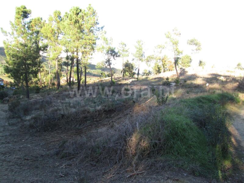 Terreno com 11000m2 Vale Formoso/ Aldeia do Souto Covilhã - água, electricidade, furo