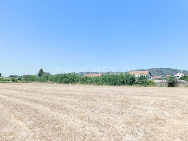 Land flat Belmonte - excellent access