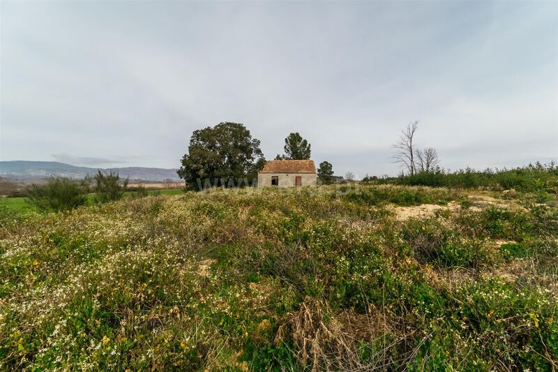 Land 0 bedrooms flat Peraboa Covilhã - irrigated land, electricity, arable crop, well, water