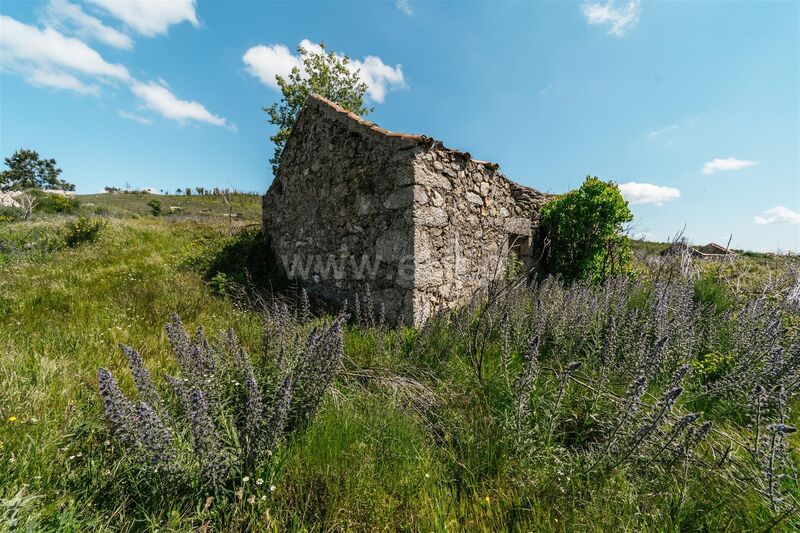 Farm V3 Orjais Covilhã