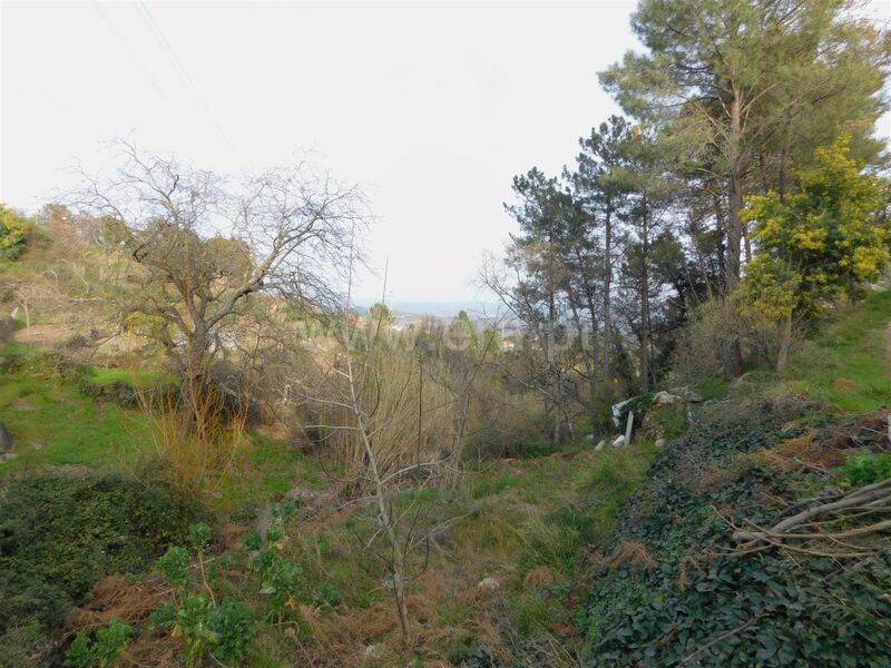 Land with 894sqm Covilhã