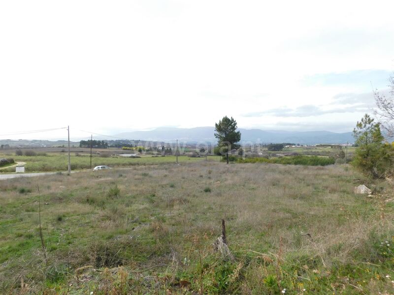 Land with 17870sqm Caria Belmonte - electricity