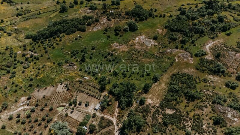 Small farm V1+1 to recover Peraboa Covilhã - store room, well