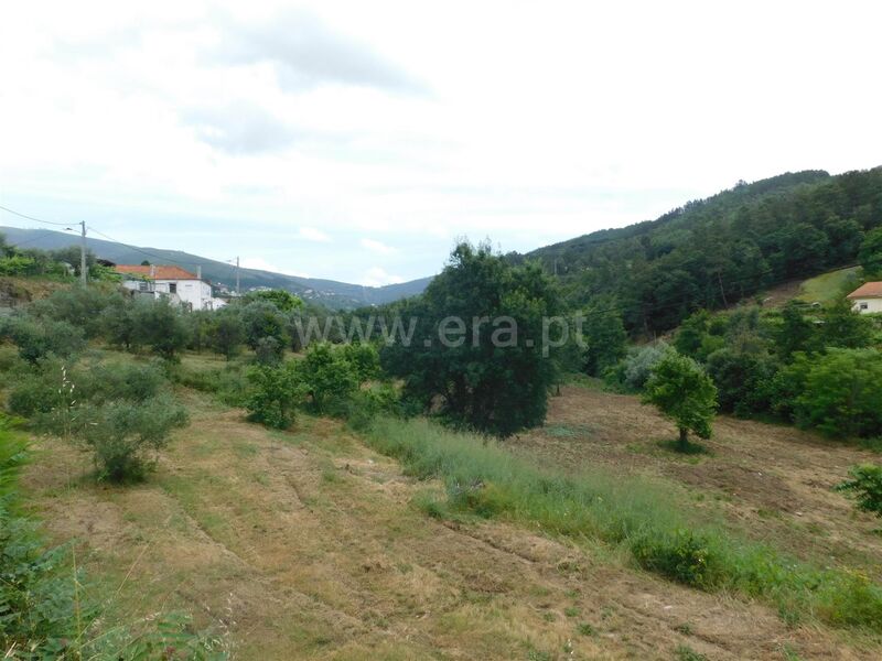 Terreno com 5100m2 Teixoso Covilhã - tanque, viabilidade de construção