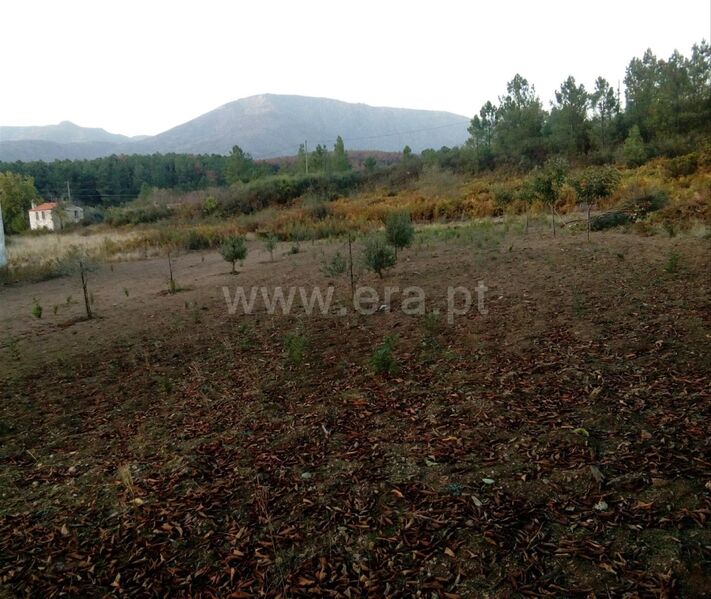 Land with 13082sqm Cortes do Meio Covilhã