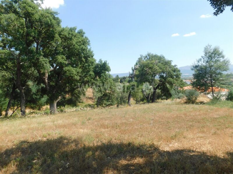 Land with 18755sqm Vales do Rio Covilhã - electricity