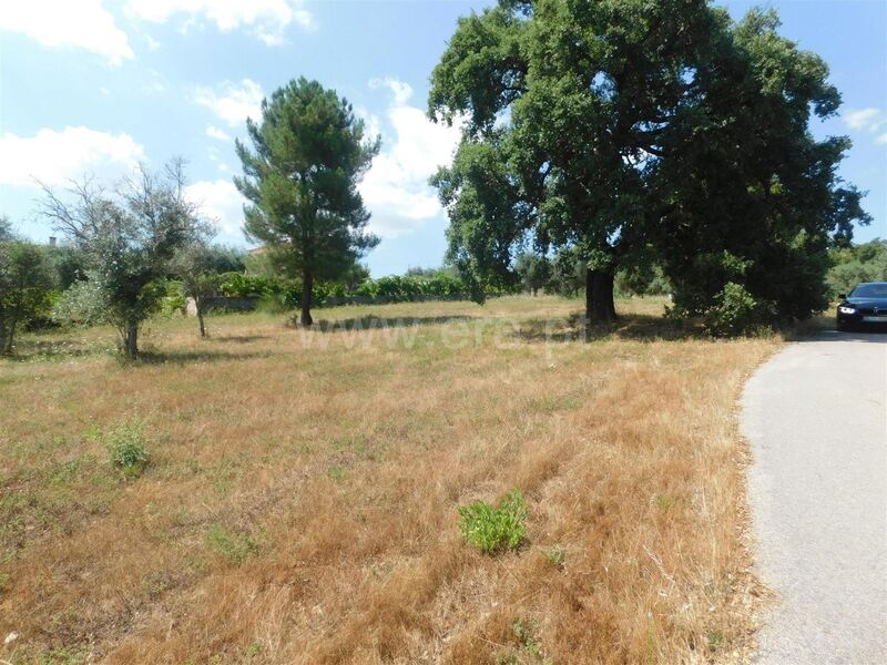 Terreno com 24650m2 Vales do Rio Covilhã - electricidade