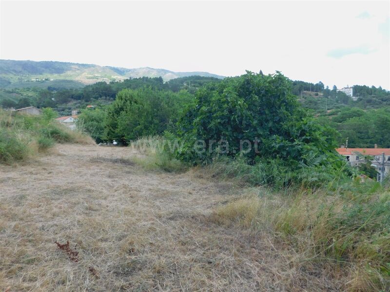 Land with 5700sqm Covilhã