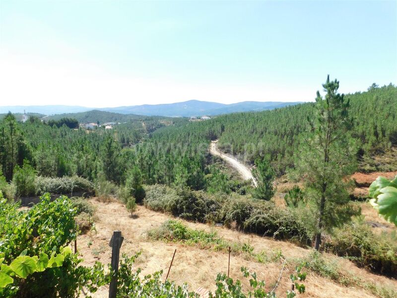 Land 0 bedrooms with 40sqm Casegas Covilhã - fruit trees, electricity, water
