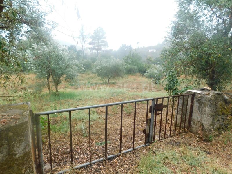 Terreno Agrícola com 600m2 Ourondo Covilhã - electricidade, cultura arvense, bons acessos