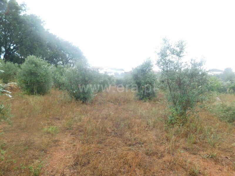 Land with 847sqm Ourondo Covilhã - electricity, easy access