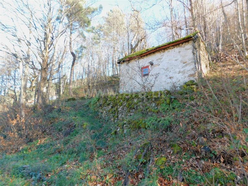 Moradia V0 para venda Serra da Estrela Manteigas (São Pedro)