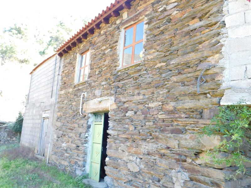 Quinta V2 com casa Serra da Estrela Vale de Amoreira Manteigas - tanque, oliveiras, árvores de fruto, água, electricidade